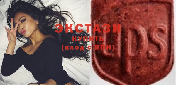 ПСИЛОЦИБИНОВЫЕ ГРИБЫ Гусев