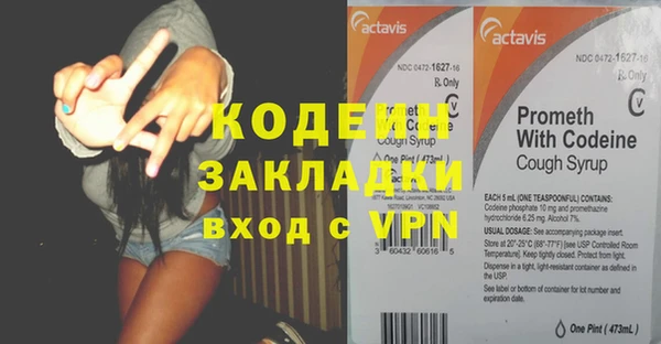 ПСИЛОЦИБИНОВЫЕ ГРИБЫ Гусев
