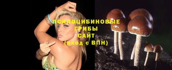кристаллы Гусь-Хрустальный