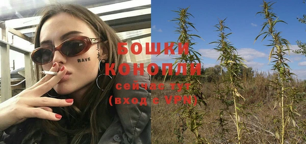 кристаллы Гусь-Хрустальный