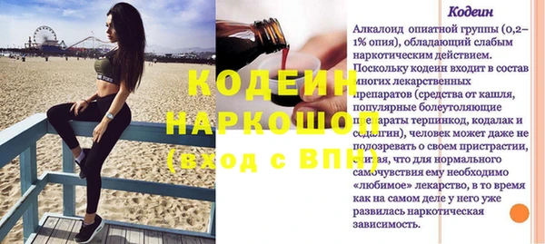 ПСИЛОЦИБИНОВЫЕ ГРИБЫ Гусев