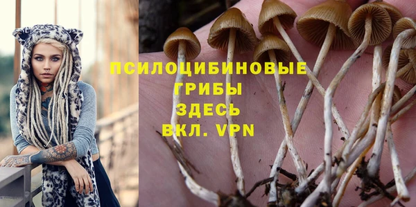 ПСИЛОЦИБИНОВЫЕ ГРИБЫ Гусев
