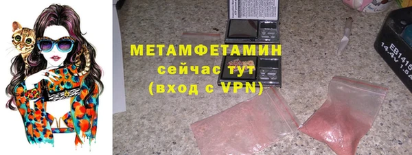 ПСИЛОЦИБИНОВЫЕ ГРИБЫ Гусев
