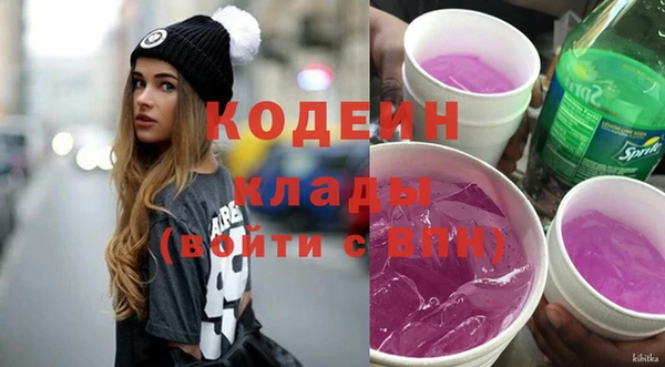 ПСИЛОЦИБИНОВЫЕ ГРИБЫ Гусев