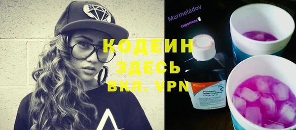 ПСИЛОЦИБИНОВЫЕ ГРИБЫ Гусев